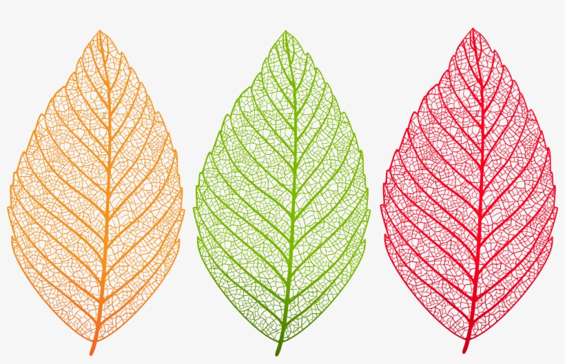 Transparent Leaves Set Png Clip Art Image - Transparent Leaves, transparent png #1103548