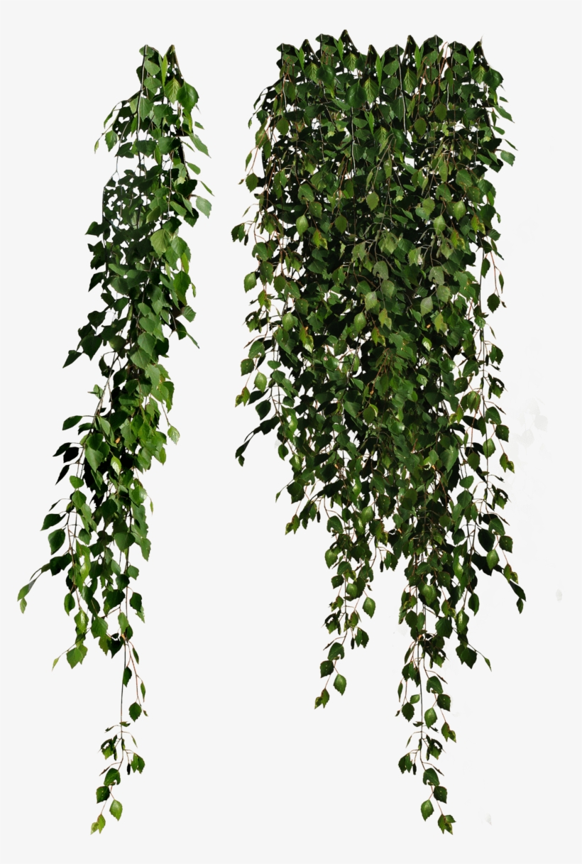 Descargar - Cottingley Secret By Hazel Gaynor, transparent png #1103583