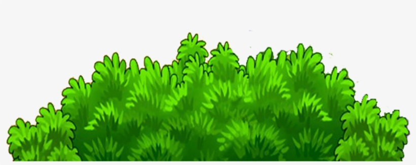 Plantas Png - Illustration, transparent png #1103613