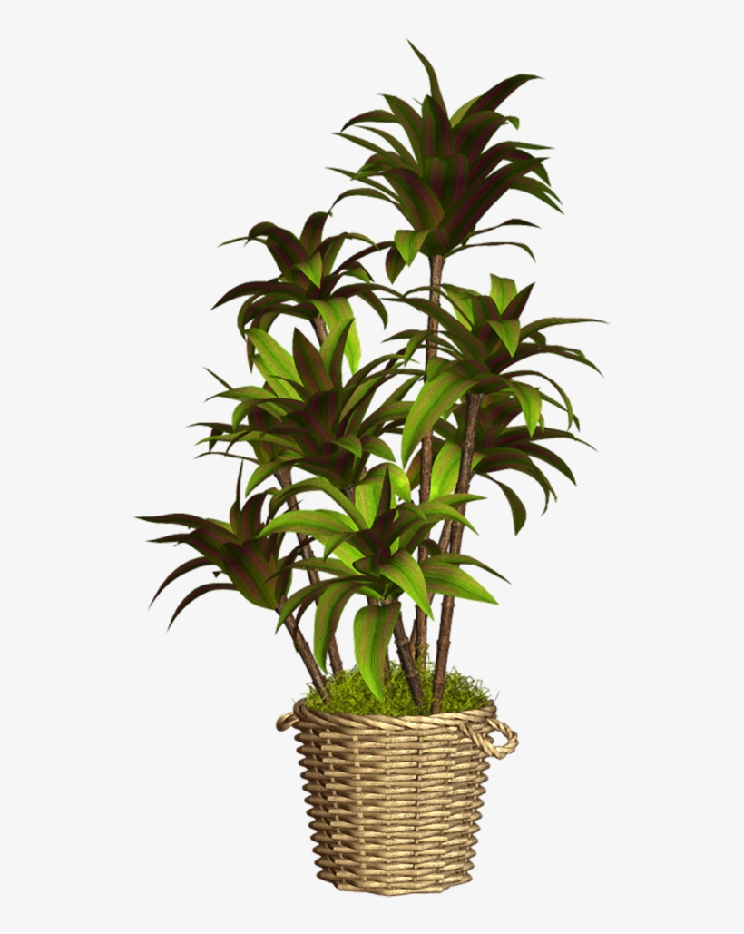 Floreros Y Tiestos Con Plantas - Maceta Con Flores Png, transparent png #1104142