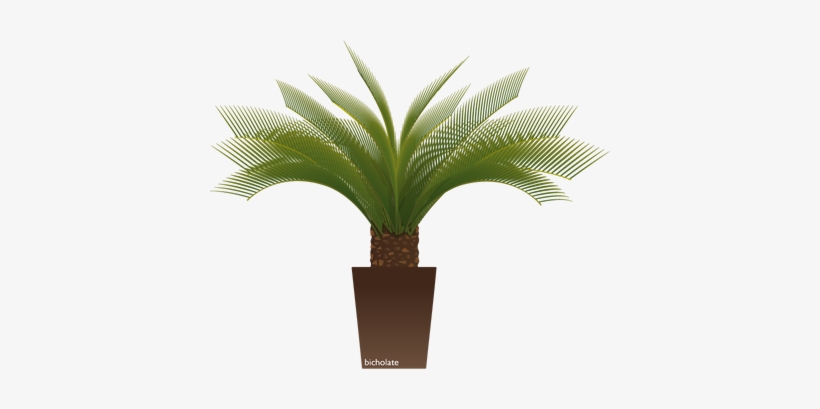 Plantas De Ornato - Plantas De Ornato Png, transparent png #1104223