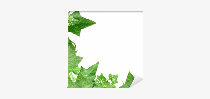 Craft, transparent png #1104546