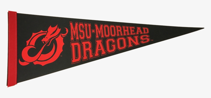 Display Larger Image Of This Product - Collegefangear Msum 3 Ft X 5 Ft Flag 'official Logo', transparent png #1105114