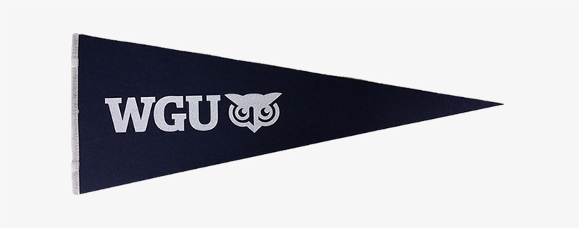 Western Governors University, transparent png #1105421