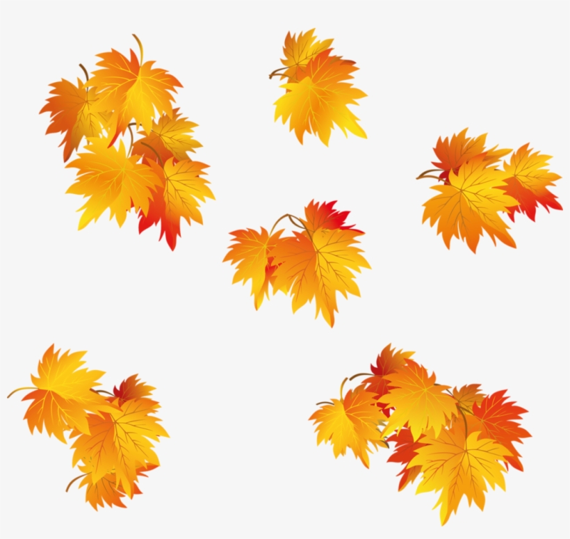 Tubes Arbres / Arbustes / Feuillages - Maple Leaves Clip Art, transparent png #1105466