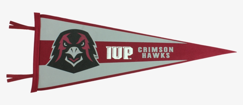 Pennant, Hawk Head & Iup Monogram - The Co-op Store, transparent png #1105713