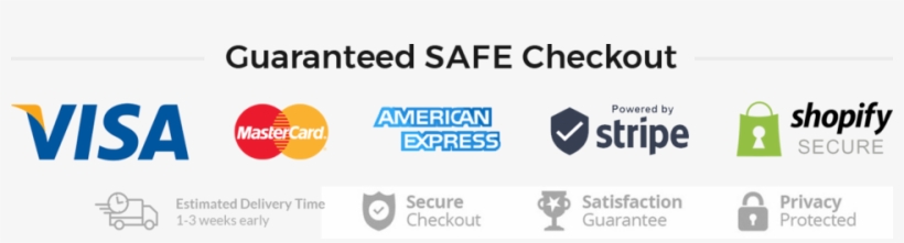 All Orders Come With Real Time Online Tracking - Safe Checkout Badge Shopify, transparent png #1105812