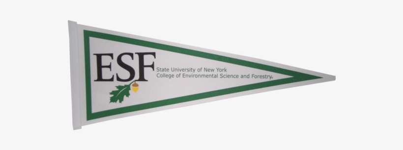 Pennant - Pennant - Pennant - Suny Esf, transparent png #1106190