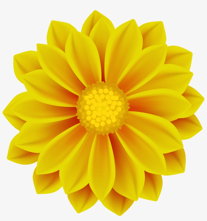 Clip Art Gallery Yopriceville High Quality View - Chrysanthemum X Morifolium Cv Florist's Chrysanthemum, transparent png #1106463