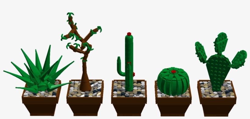 Cute Cactae - Houseplant, transparent png #1107134