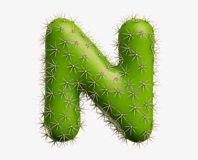 Green Cactus Font - San Pedro Cactus, transparent png #1107160