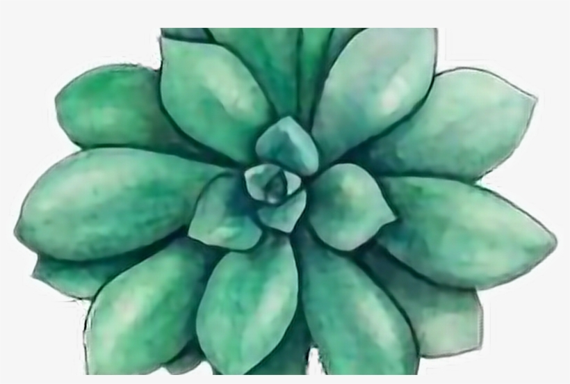 33+ Tumblr Dibujos Plantas Png Pictures