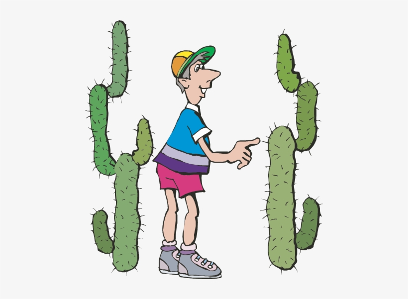 Cactus Clipart Touch - Example Of Sense Of Touch, transparent png #1107210