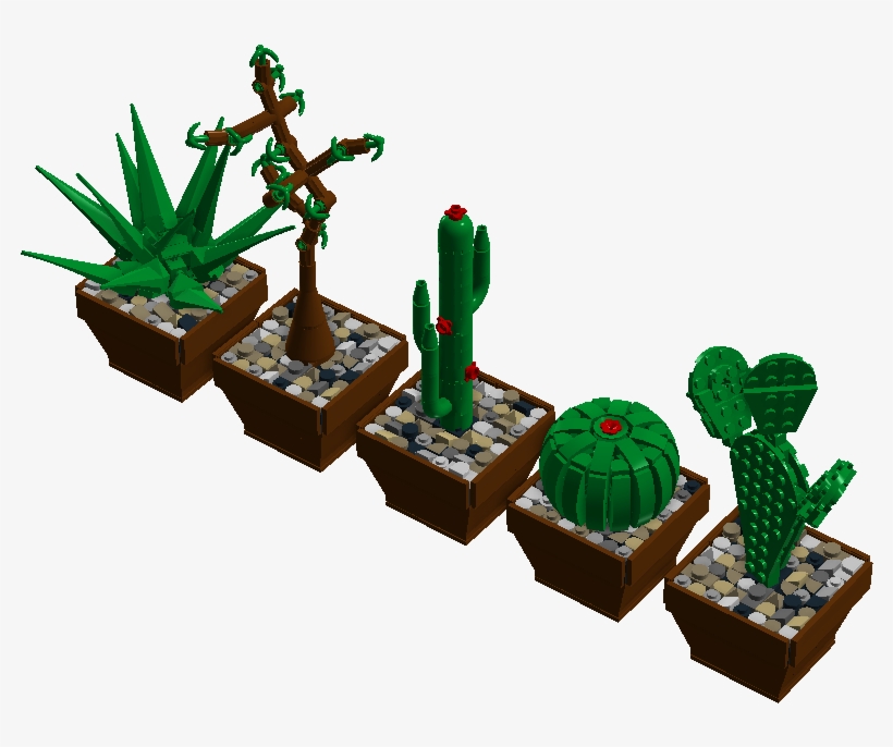 Cute Cactae - Cactus, transparent png #1107646