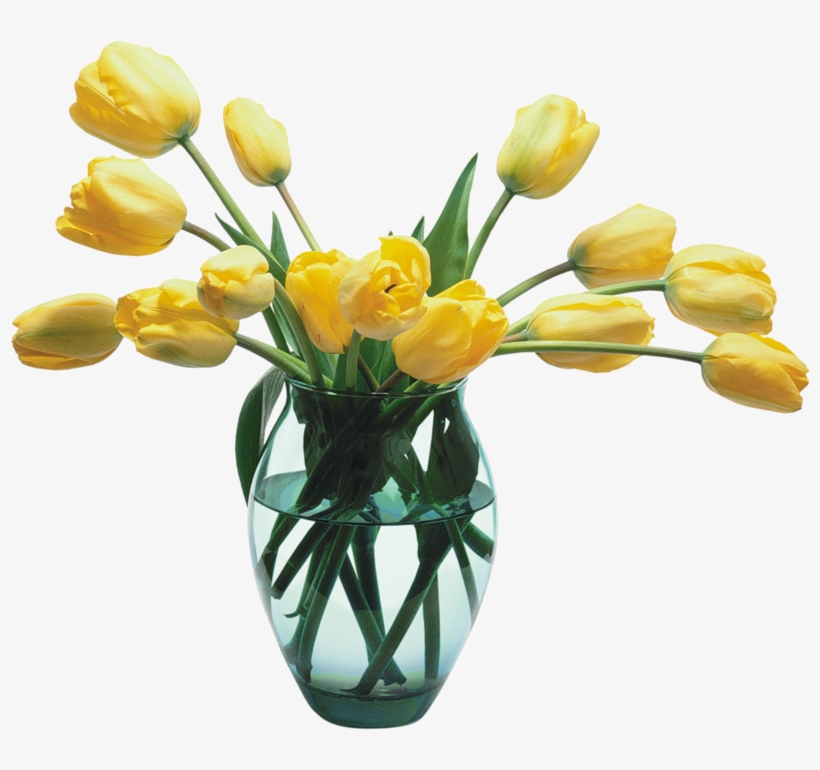 Glass With Tulips Gallery Yopriceville High Quality - Vase Of Flowers Png, transparent png #1107702