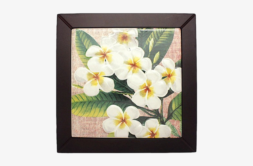 Framed - Hawaiian Gift Bag Medium Plumeria Notes, transparent png #1109201