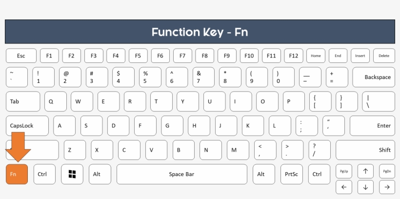 Whichever - Wintec Filemate Imagine Series K2210 Usb Standard Keyboard, transparent png #1109949