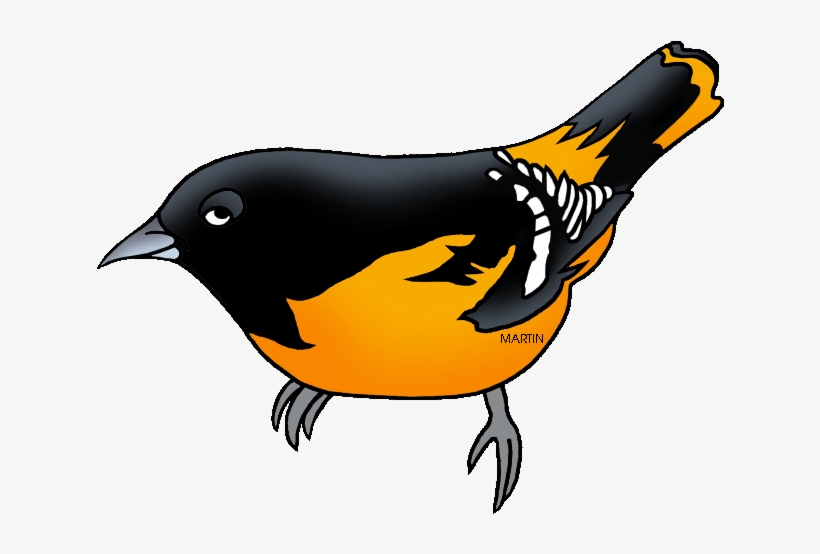 Martin Bird Clip Art Cliparts - State Bird For Maryland, transparent png #1110435
