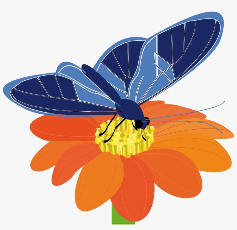 Blue Flower Clipart Big Flower - Butterfly On Flower Clip Art, transparent png #1110523