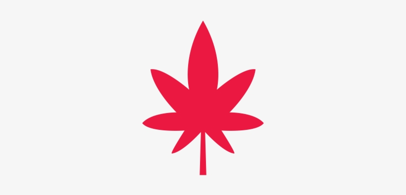 Who's Really Using Marijuana In Co - Weed Leaf Icon, transparent png #1112412