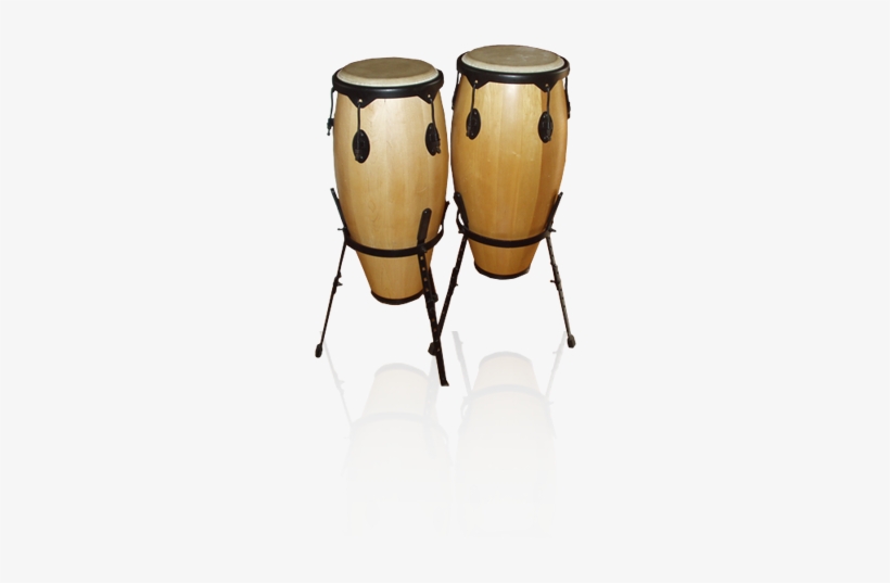 The Origin Of The Congas Can Be Found In The Congolese - Conga, transparent png #1112468