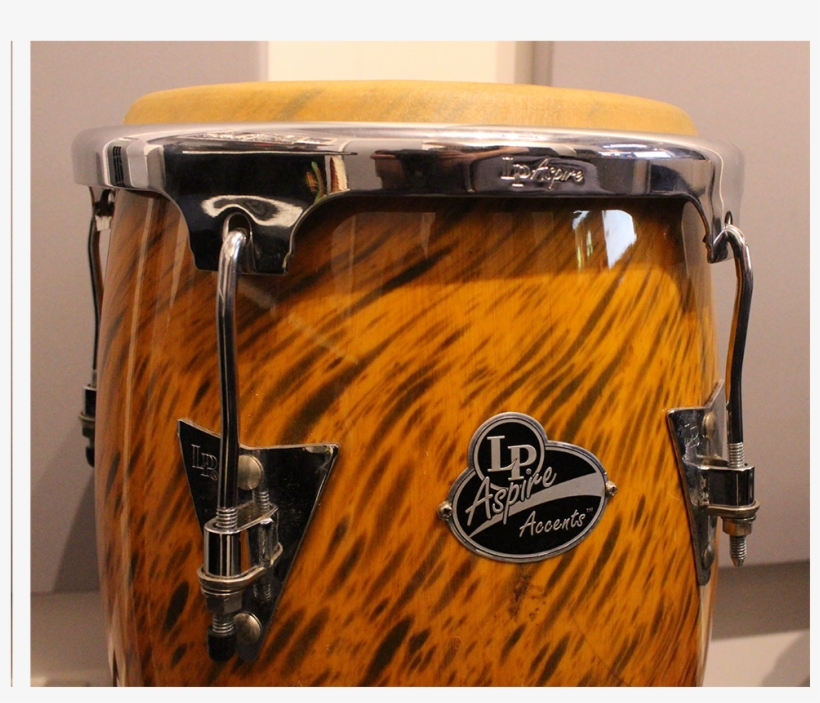 Aspire Conga Audio Animals Ltd Png Aspire Conga Drums - Conga, transparent png #1112612