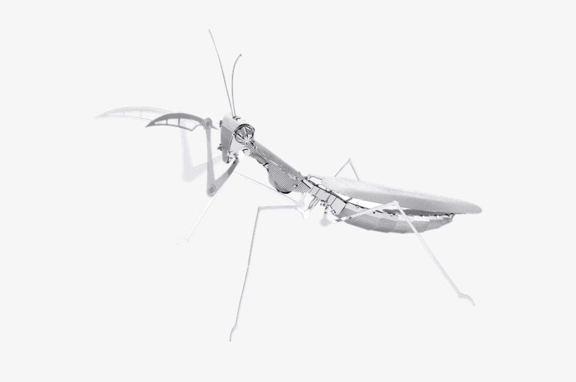 Metal Erath Bugs - Metal Earth Insects, transparent png #1113241