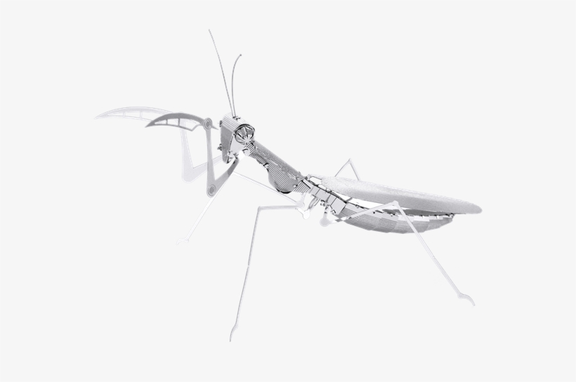 Metal Erath Bugs - Metal Earth Insects, transparent png #1113241