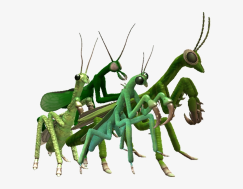 Spore Insect, transparent png #1113491
