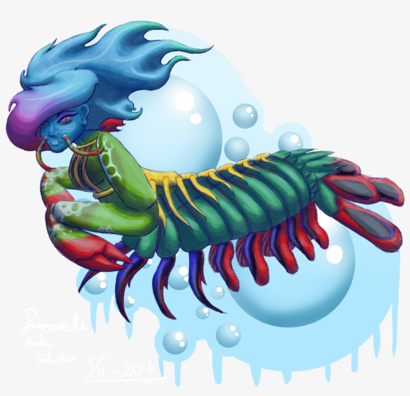 Royalty Free Download Shrimp Anthro For Fiveraspie - Mantis Shrimp Drawn, transparent png #1113637