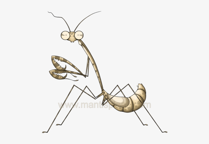 Grasshopper Art Free Library Huge Freebie - Clip Art, transparent png #1113659