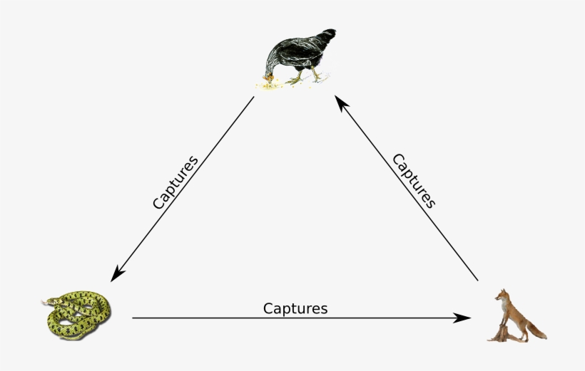 How Do We Relate It To Rock Paper Scissors - Chicken, transparent png #1113792