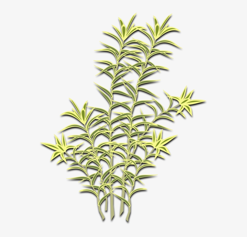 Computer Icons Symbol Cartoon Line Art - Dracaena, transparent png #1113816