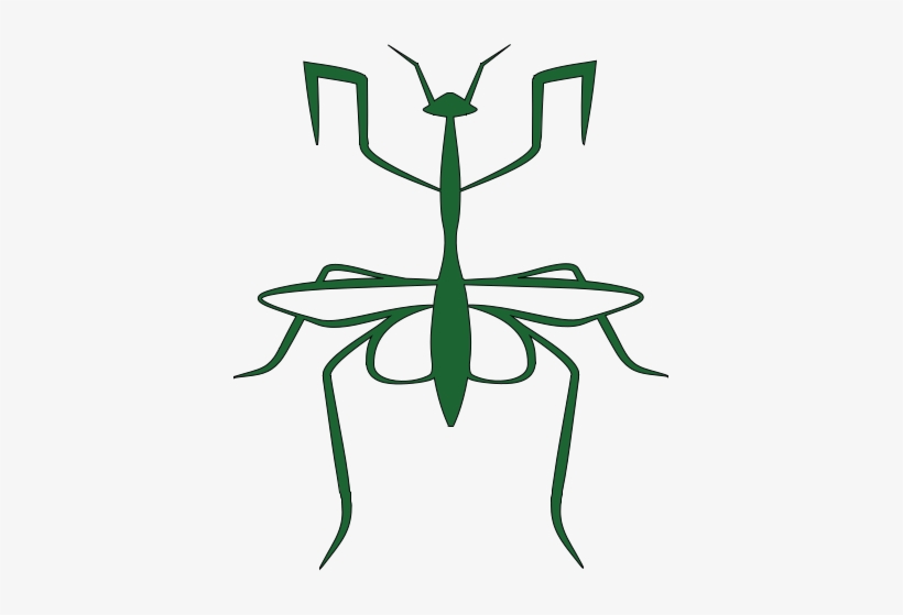 Mantis Goes Wucc, transparent png #1113961
