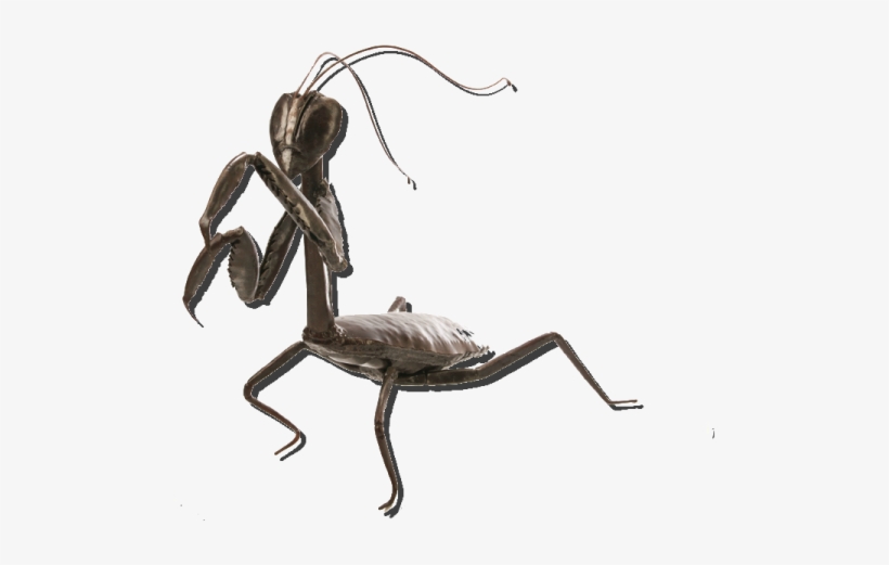 Metal Mantis - Colby Brinkman - Facebook, transparent png #1113979