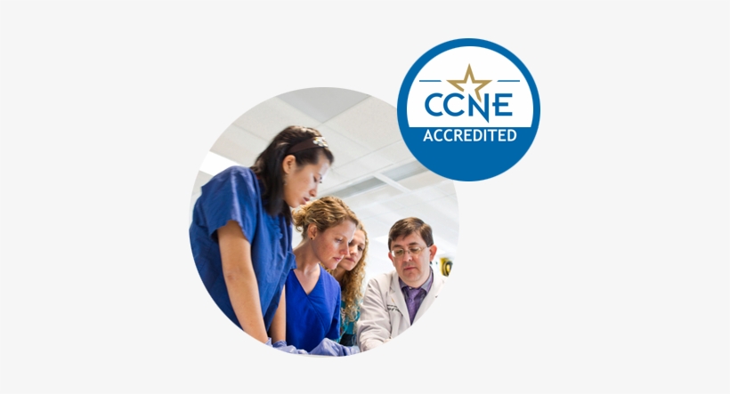 The Bsn, Msn, Dnp And Post-graduate Aprn Certificate - Commission On Collegiate Nursing Education, transparent png #1114421
