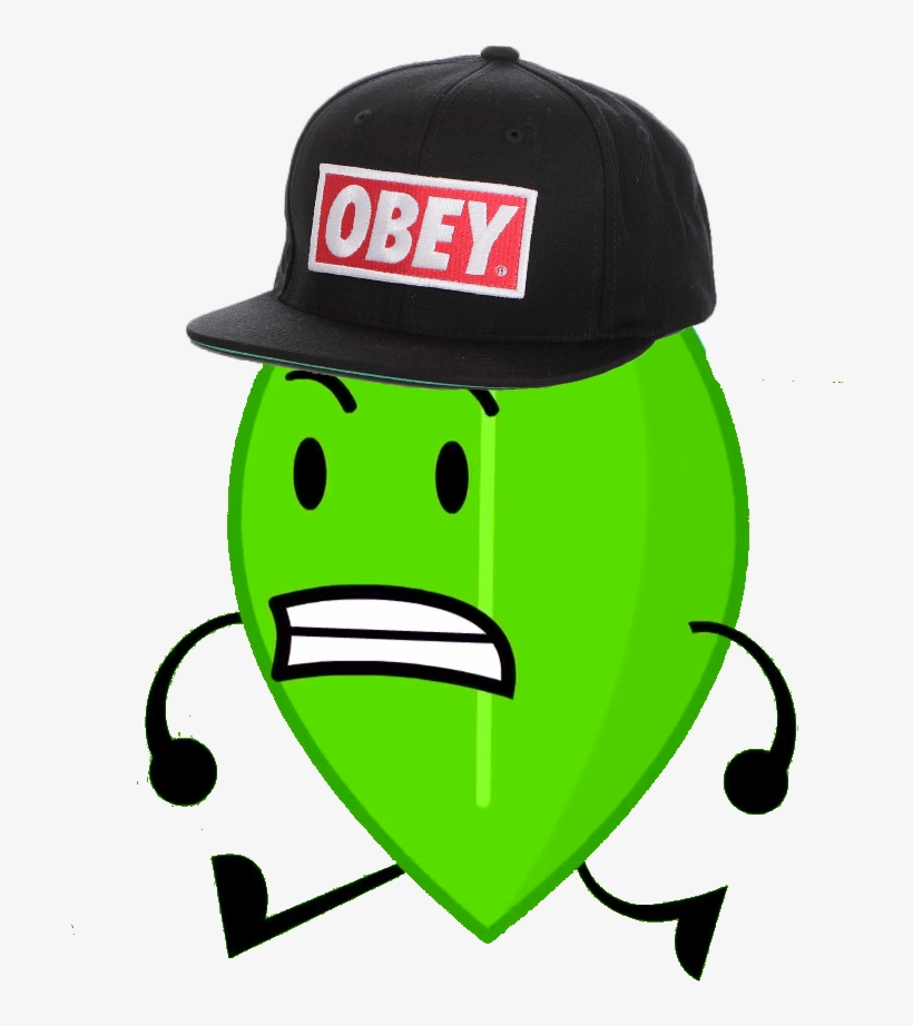 Leafy Is Here - Portable Network Graphics, transparent png #1114857