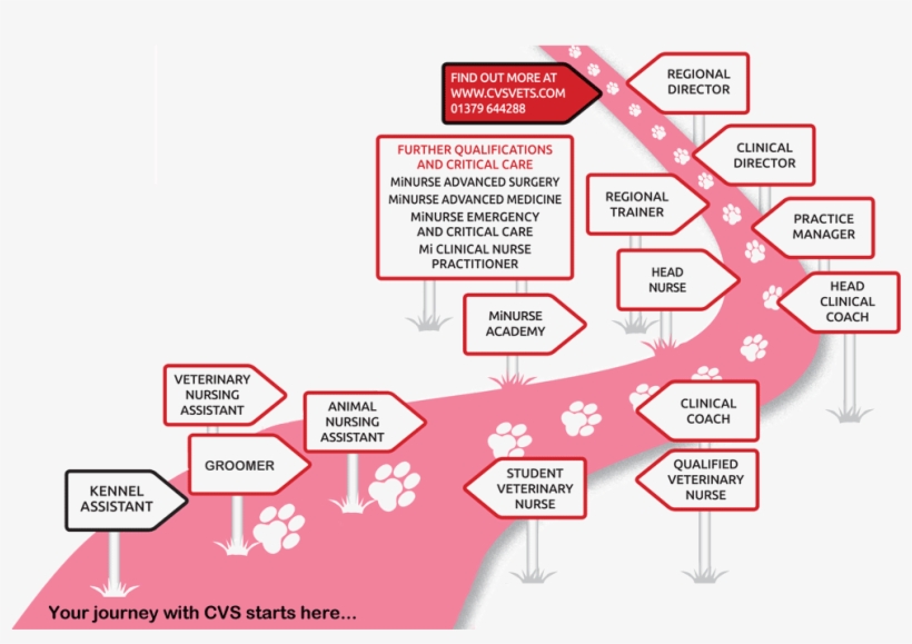 Cvs Micareers Nursing - Nursing Career Uk, transparent png #1115355