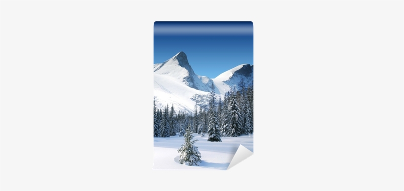 Trees Coated With Snow And High Snowy Mountains Wall - Snow, transparent png #1115956