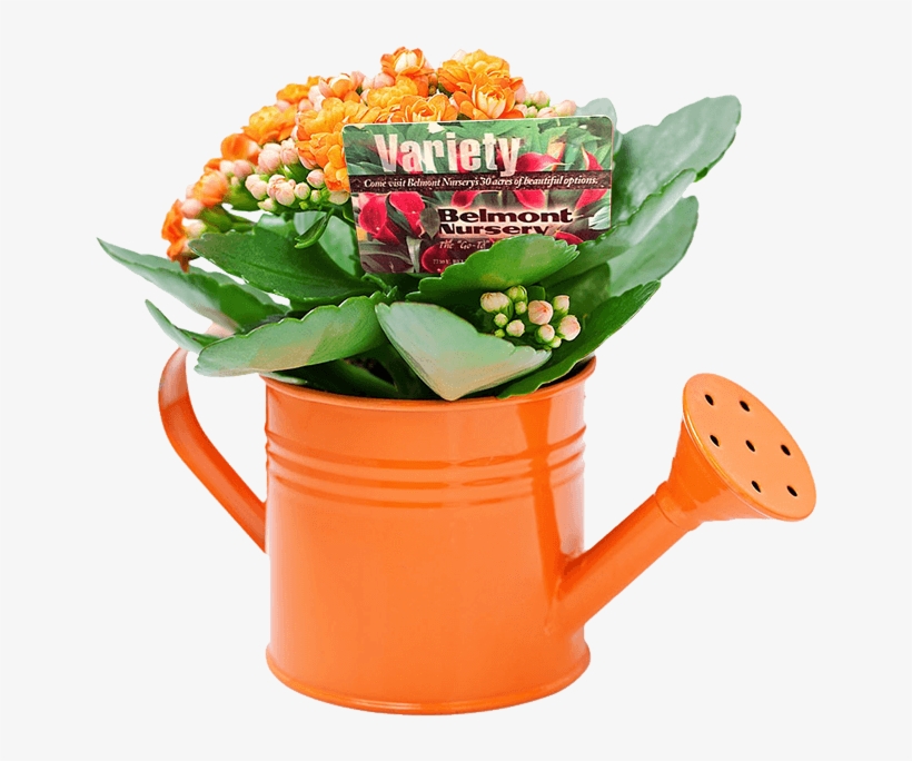 Contact - Decoração Banheiro Feng Shui, transparent png #1116261