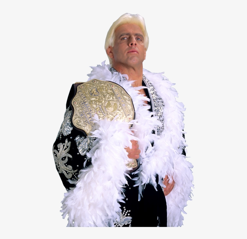 Ric Flair World Heavyweight Champion - Ultimate Ric Flair Collection (2003), transparent png #1116406