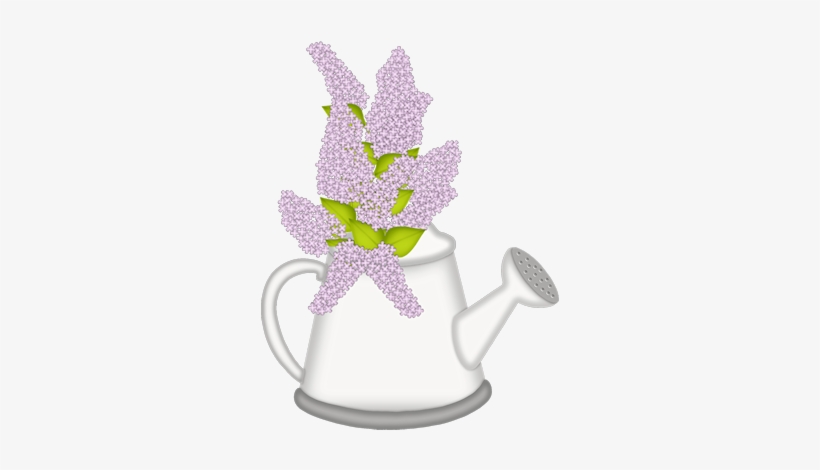 Gd Ss Watering Can - Flower, transparent png #1116537