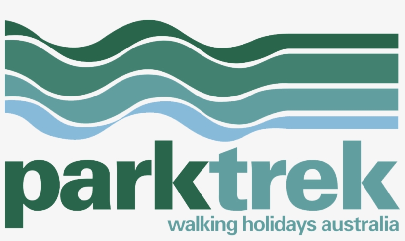 Graphic Design, transparent png #1116754