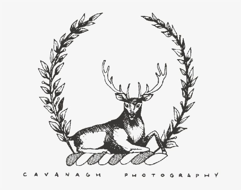 Photographer, transparent png #1116946