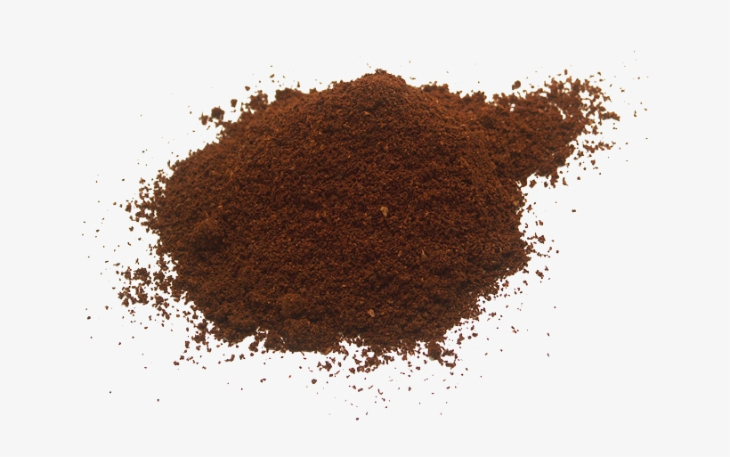 Clipart Transparent Stock Progetto Bio Caff Salomoni - Alkanet Root Powder Alkanna Tinctoria, transparent png #1117007