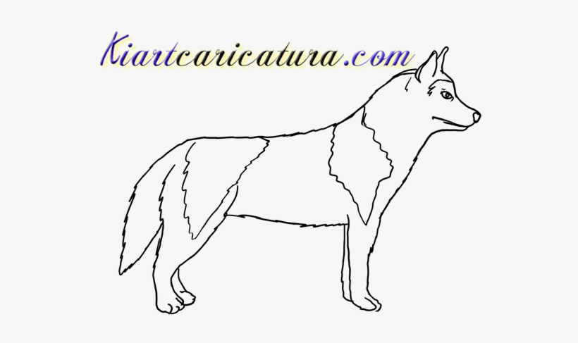 Deixe Seu Comentário E Não Esqueça De Curtir Nossa - Dog Yawns, transparent png #1117157