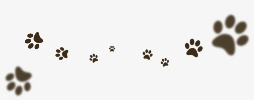 Jpeg, transparent png #1117376