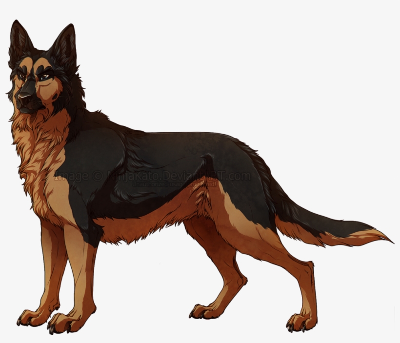 Nerororro - Ginga Dog, transparent png #1117479