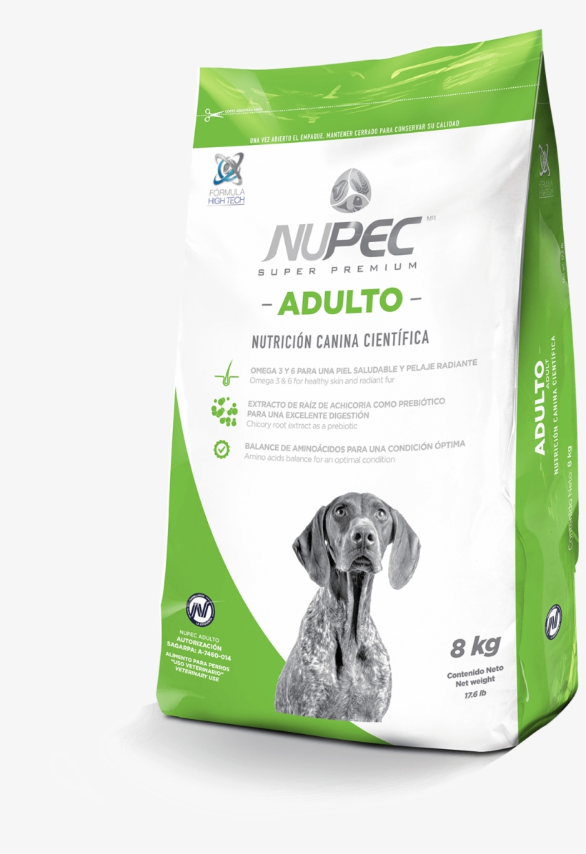 8kg Cachorro Grande Front Donkroketon, transparent png #1117571
