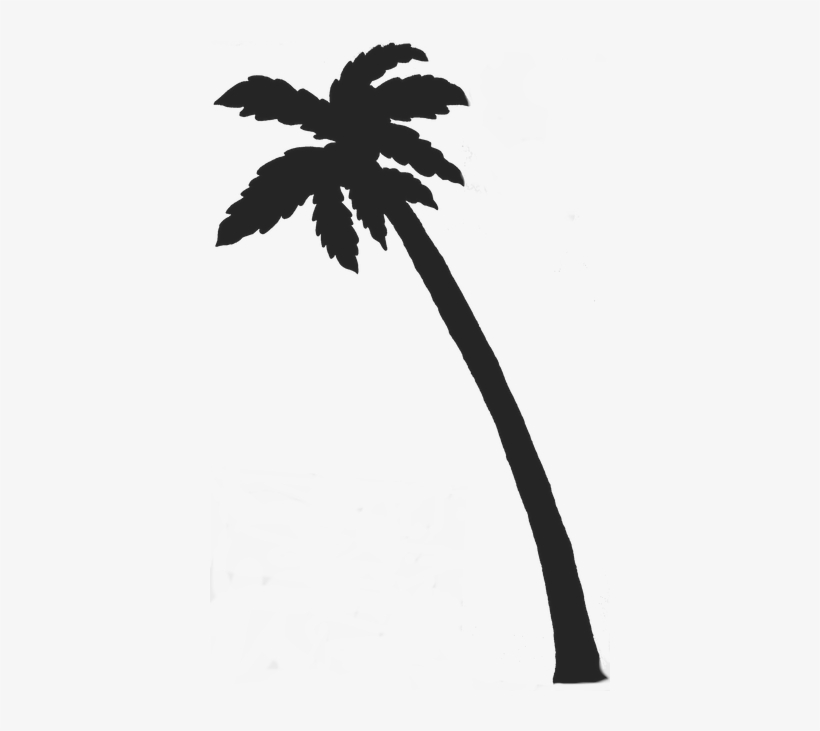 Clipart Palm Tree - Palm Tree Transparent Background, transparent png #1117915